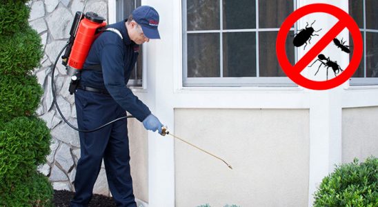 Bozyazı Kemirgen İlaçlama böcek ilaçlama ve haşere kontrolü — ilaclama-tr.com